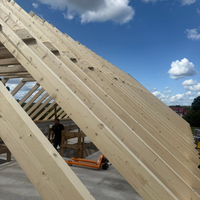 dom z&nbsp;czarnym dachem